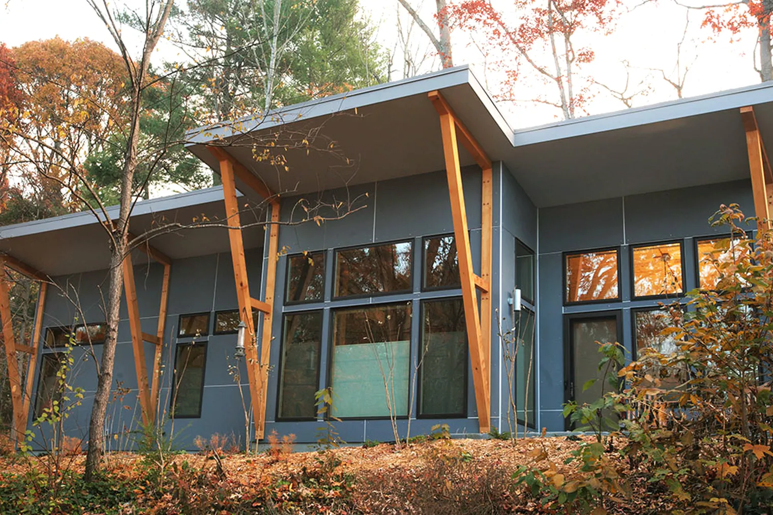 Eco-Friendly Home Design